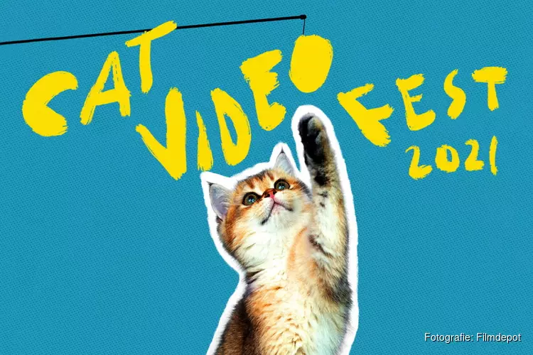 De Meerpaal steunt het goede doel met nieuwste kattenfilm