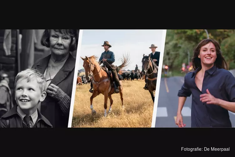 Beleef de Oscars in De Meerpaal