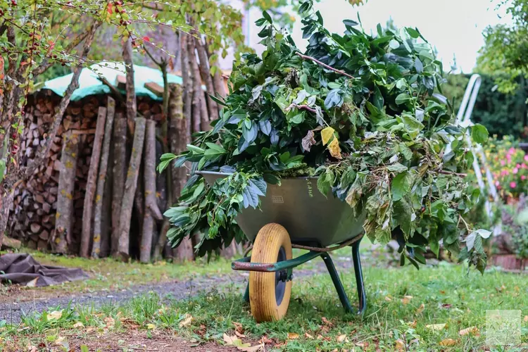 Provincie moedigt Flevolanders aan om tuin groener te maken