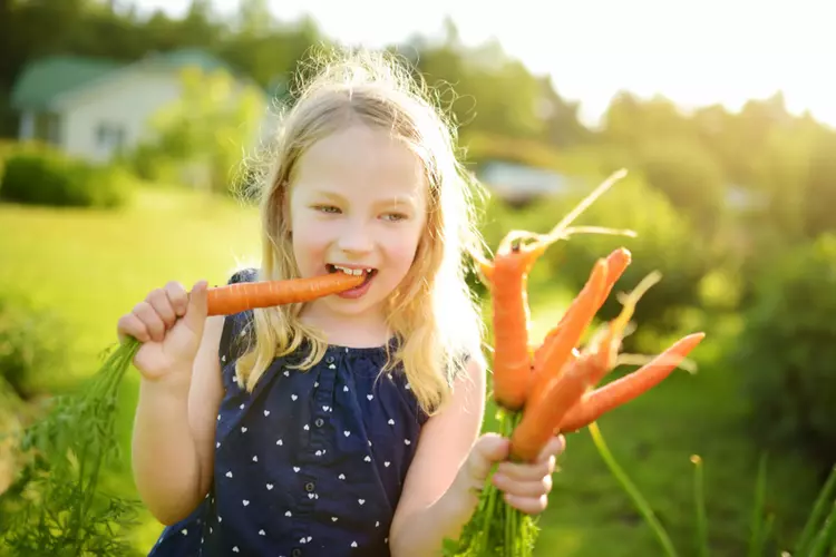 Zo&#39;n 650 schoolkinderen in Flevoland doen mee met tweede &#39;Week van de Schooltuin