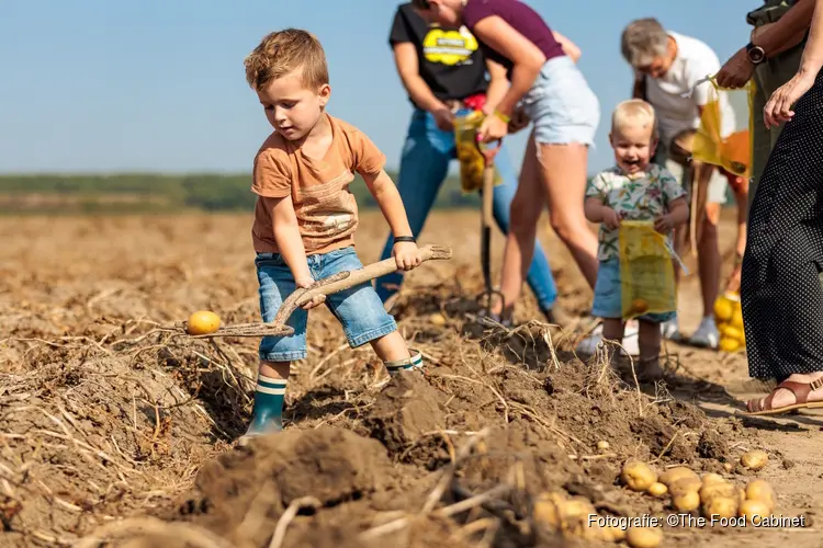 Van bodem tot bord: de Nationale Aardappelrooidag leert je alle ins en outs over de pieper