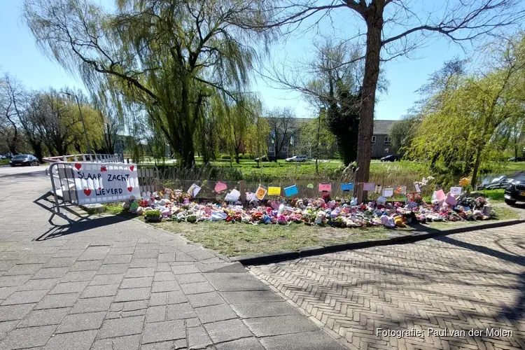 19 november: Internationale Dag ter herdenking van verkeersslachtoffers