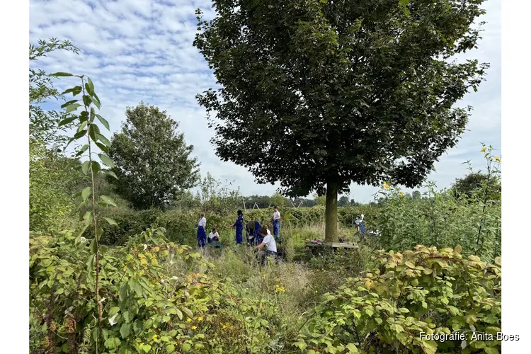 Natuurklusdag bij landgoed